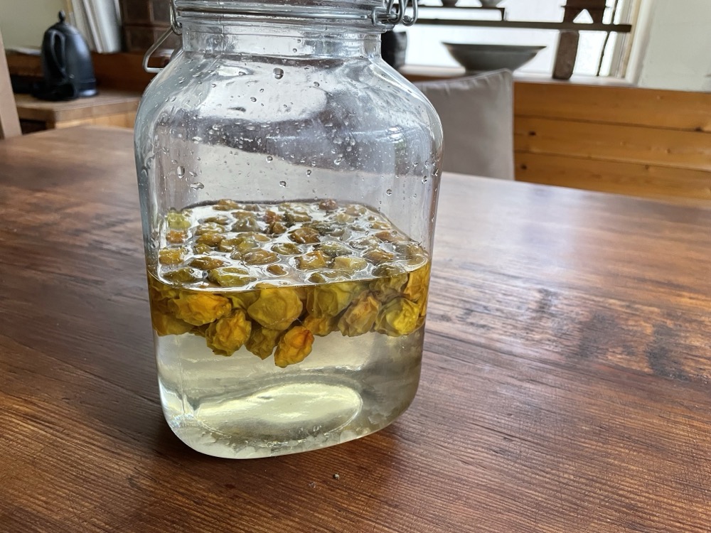 2週間程で砂糖が完全に溶けたら梅を取り出す。シロップは一度火にかけると発酵しにくくなる。