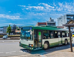  ibd-work-2201-bus